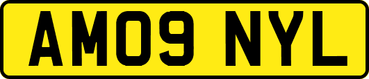 AM09NYL