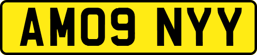 AM09NYY