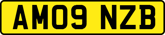 AM09NZB