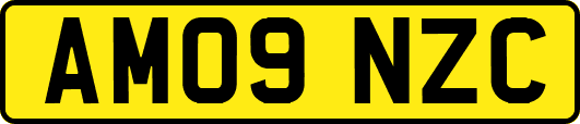 AM09NZC