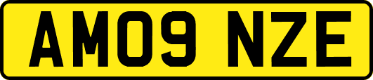 AM09NZE