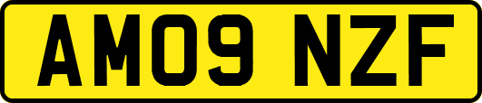 AM09NZF