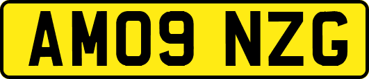 AM09NZG