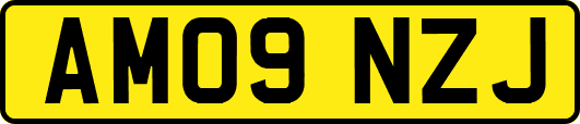 AM09NZJ