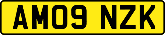 AM09NZK