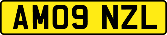 AM09NZL