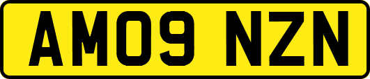 AM09NZN