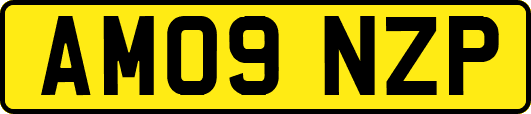 AM09NZP