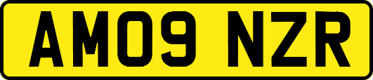 AM09NZR