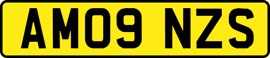 AM09NZS