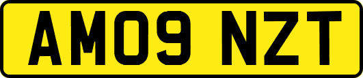 AM09NZT