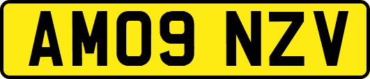 AM09NZV