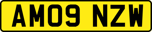 AM09NZW