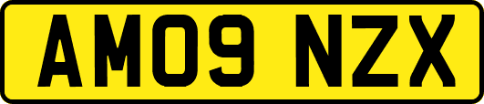 AM09NZX