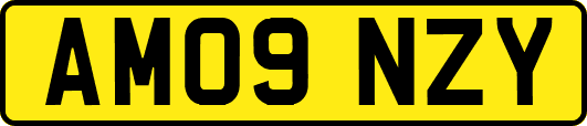 AM09NZY