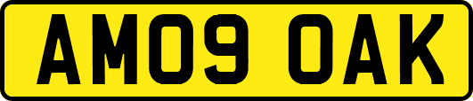AM09OAK