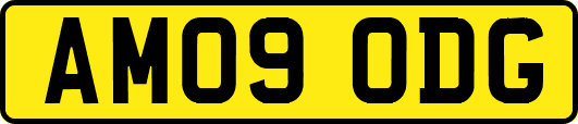 AM09ODG