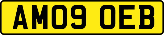AM09OEB