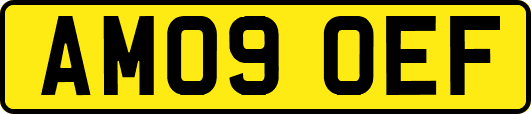 AM09OEF