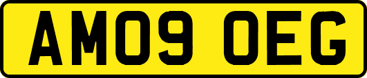 AM09OEG