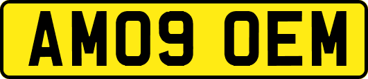 AM09OEM