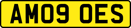 AM09OES