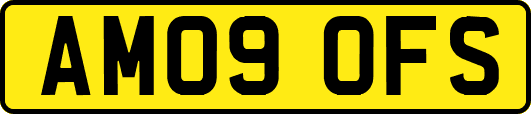 AM09OFS