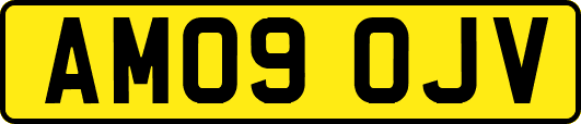 AM09OJV