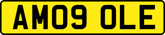 AM09OLE