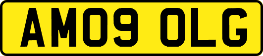 AM09OLG
