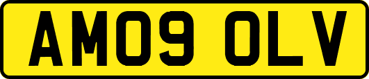 AM09OLV
