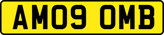 AM09OMB