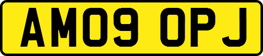 AM09OPJ