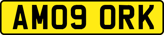 AM09ORK