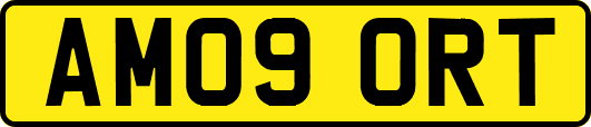 AM09ORT