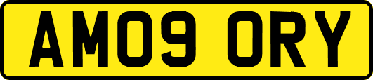 AM09ORY