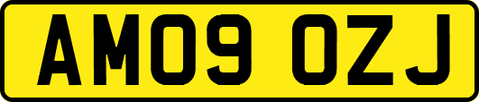 AM09OZJ