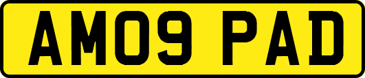 AM09PAD