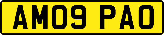 AM09PAO