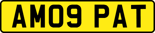 AM09PAT