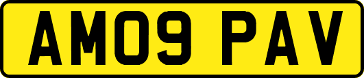 AM09PAV