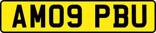 AM09PBU