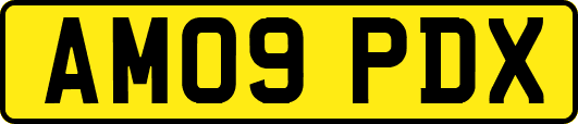 AM09PDX