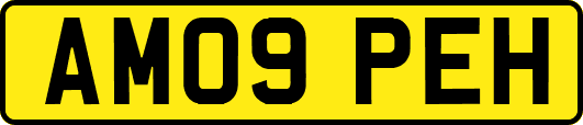 AM09PEH
