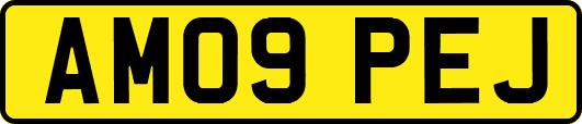 AM09PEJ