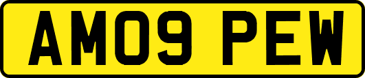 AM09PEW