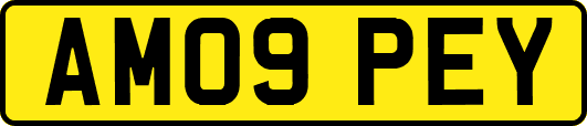 AM09PEY