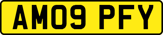 AM09PFY