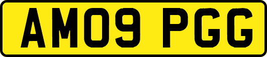 AM09PGG