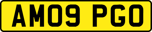 AM09PGO